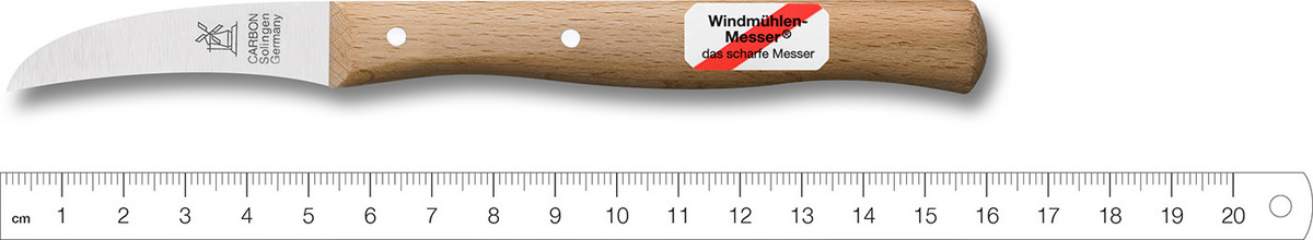 Vogelschnabel Rotbuche